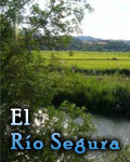 R�o Segura