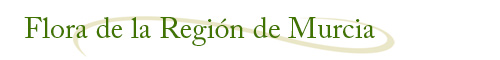 Flora de la Regi�n de Murcia