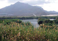 Las lagunas de Las Moreras y Campot�jar, Humedales de Importancia Internacional