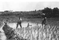 Fotograf�as hist�ricas de Calasparra (siglo XX)