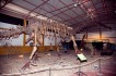 Verano de dinosaurios y animales prehist�ricos en mazarr�n
