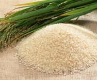 El Arroz de Calasparra