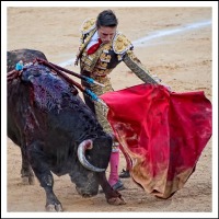 Diego Urdiales en la Plaza de Toros de Murcia Diego Urdiales en la Plaza de Toros de Murcia