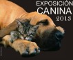 Exposici�n canina 2013