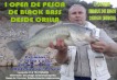 Open de pesca