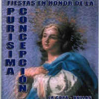 Purísima Concepción. La Copa de Bullas Purísima Concepción. La Copa de Bullas