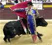 TOROS04