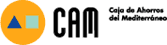 CAM CAM