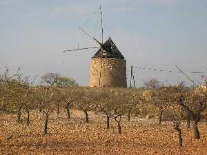 Molino Viejo de Las Palas (Fuente �lamo)