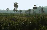 Paisaje caracter�stico de Ulea