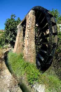 Noria de la Ribera de Molina (Patrimonio Histórico)