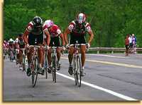 El pelot�n estirado en una carrera de Ciclismo