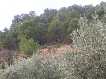 Sierra Espu�a y El Berro