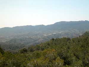 Vertiente meridional de la Sierra de la Cresta del Gallo. Al fondo, la Sierra de Villares 