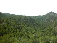 Parque Regional El Valle y Carrascoy