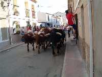 Fiestas de El Sabinar  (Al pulsar se abrir� la foto en una nueva ventana.)
