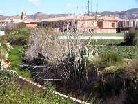 Vista general del Campanario Santuario Virgen de las Huertas