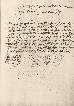 Acta capitular del Archivo municipal de Jumilla (S. XVI)