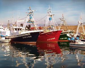 Flota pesquera atracada en el puerto de guilas 