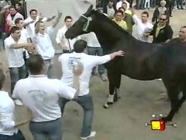 Concurso de Caballos a Pelo