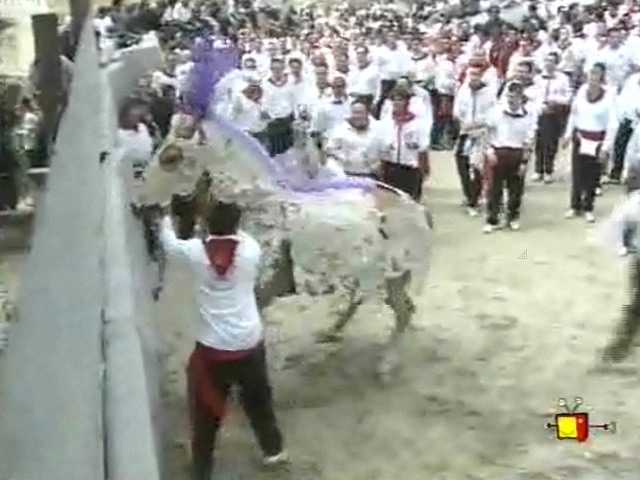 Carrera de los Caballos del Vino y Concurso de Enjaezamiento
