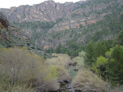 El Río Segura a su paso por el Cañón de Almadenes