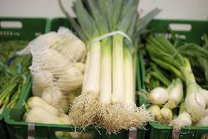 Puerros y otros productos de la huerta 