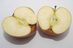 Seccin de una manzana mostrando piel, pulpa y semillas 