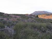 Foto 9: Las fortunitas y jumillitas, nombres de rocas volcnicas que representan a la Regin de Murcia en todo el mundo. El volcn de la Celia (Jumilla)