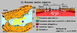 Figura 2d: El hundimiento de la raz litosfrica colaps el orgeno btico rifeo y las fallas que se produjeron favorecieron el volcanismo calcoalcalino y ultrapotsico de Murcia