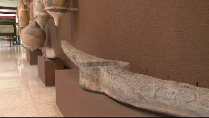 Cepos de ancla de embarcaciones romanas expuestos en el Museo Arqueolgico Municipal de Cartagena