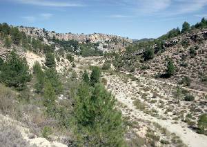 Arroyo Cantalar, en la Sierra de Villafuerte