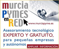 Murcia Pymes en Red