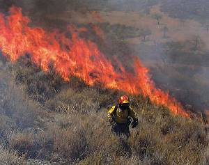 Los incendios suponen una de las mayores amenazas forestales