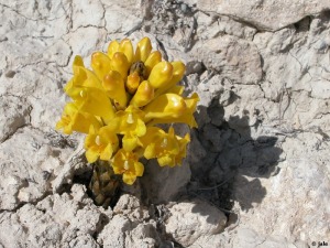 Ba�os de Mula (Mula)