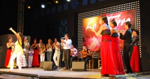 XI Gala Escuelas Flamencas