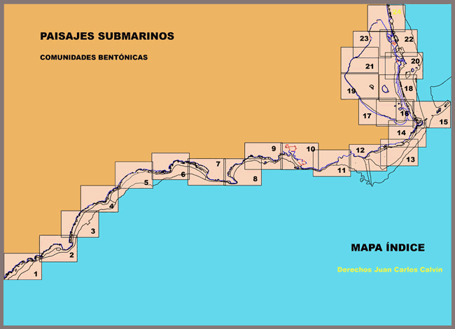 Mapa ndice de Paisajes submarinos y comunidades bentnicas