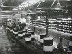 Almac�n de barriles. Refiner�a de petr�leos de Escombreras. Cartagena. h. 1958