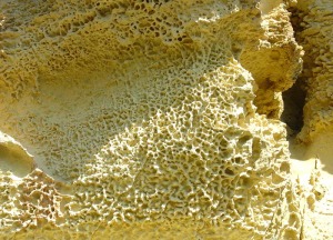Bioturbaciones y meteorizacin se han unido para formar este formidable ejemplo de alveolizacin en panal de abeja, uno de los ms representativos de la regin de Murcia 