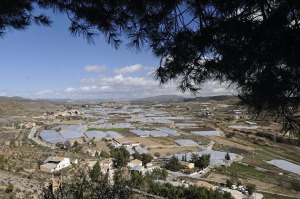 Vista de Canara (Cehegn) 