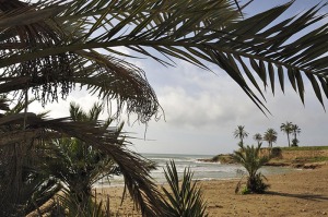 Playa de El Alamillo 