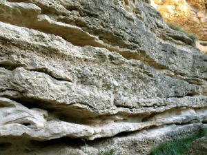 La desigual cantidad de aportes del ro dio lugar a estratificaciones. A la izqda. se observa una deformacin sinsedimentaria en la arenisca y en la base de algunos estratos, depsitos de carbonatos