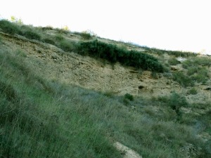 Se observa las rocas ms modernas. Gravas de terrazas recientes del ro Mula. Al fondo las costras calizas del Llano de Bullas 