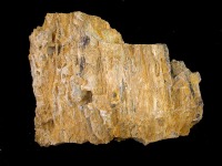 Xilpalo localizado en las margas del Mioceno superior de Mula 