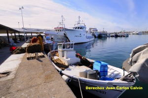 Figura 2. En el puerto de San Pedro, como en cualquier otro, se puede observar el contraste de tamaos entre las embarcaciones de artes menores en primer plano y las de arrastre al fondo