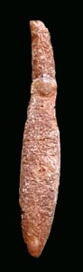 Belemnites de las calizas nodulosas del Jursico medio de Fortuna. Longitud = 6 cm 