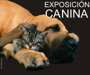 Exposicin Canina