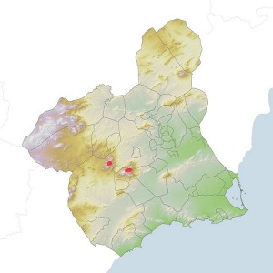 Mapa de distribucin del Arce de Montpellier (Acer monspessulanum) en la Regin de Murcia