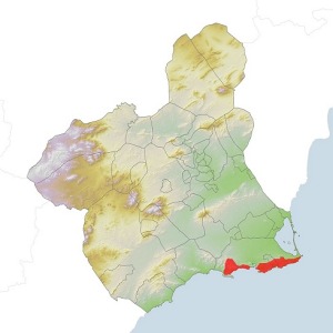 Mapa de la distribucin principal de Orchis papilionacea en la Regin de Murcia