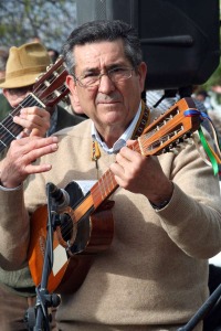 Cuadrillero tocando su guitarro